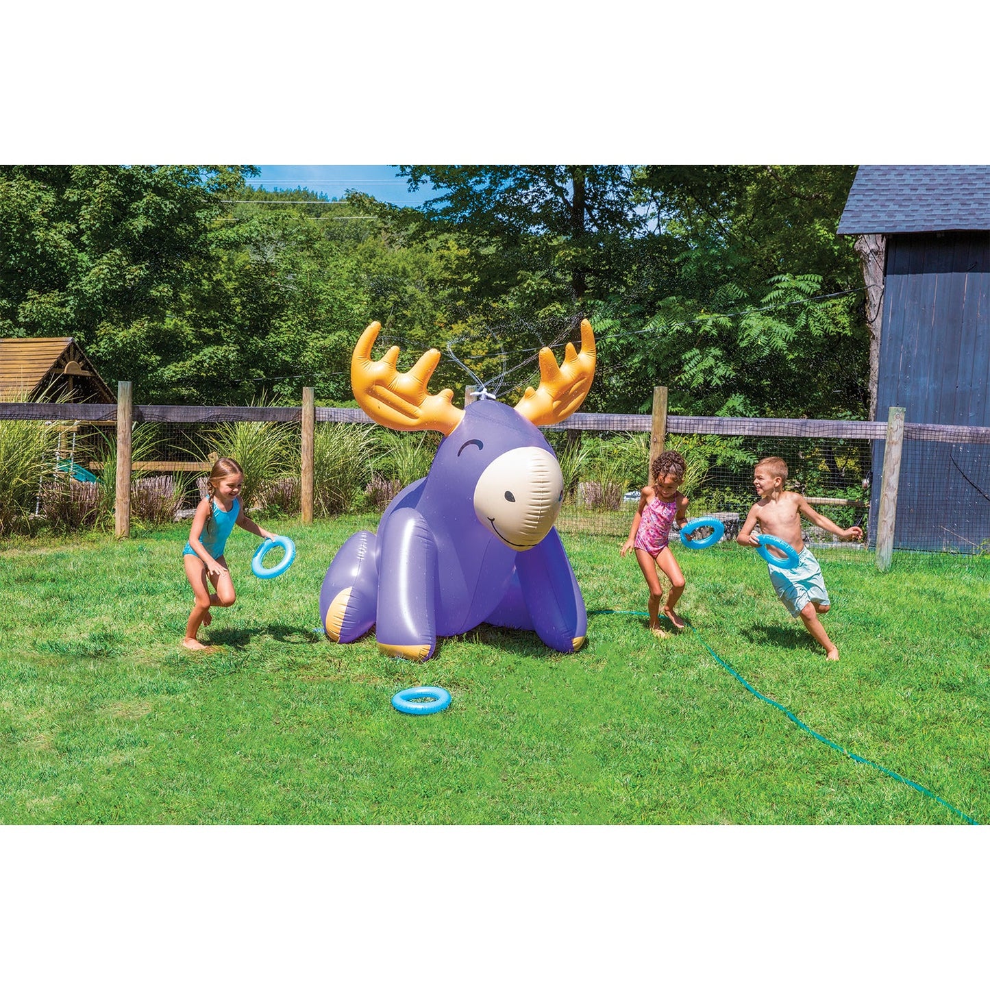 Moose Ring Toss Sprinkler