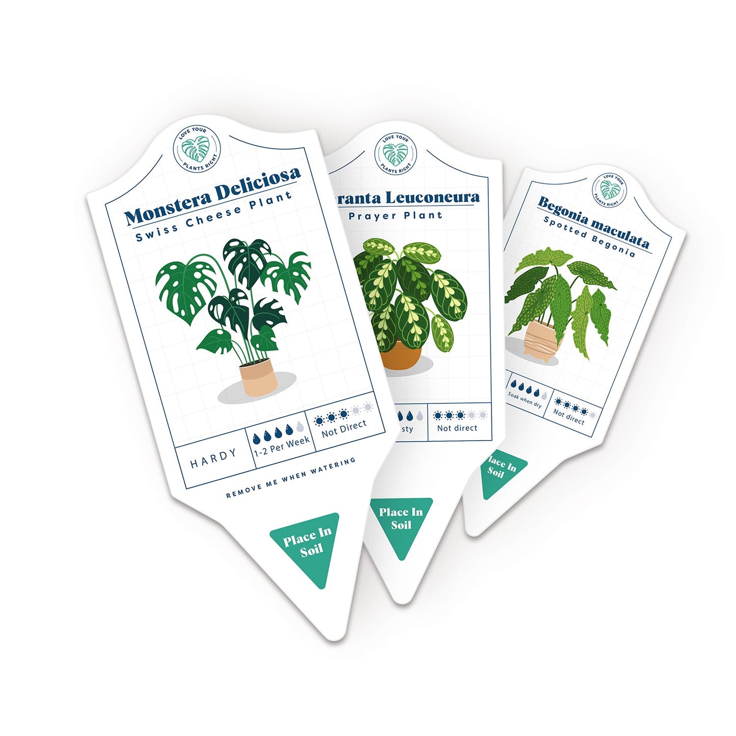 Bubblegum Stuff - Houseplant Care Tags