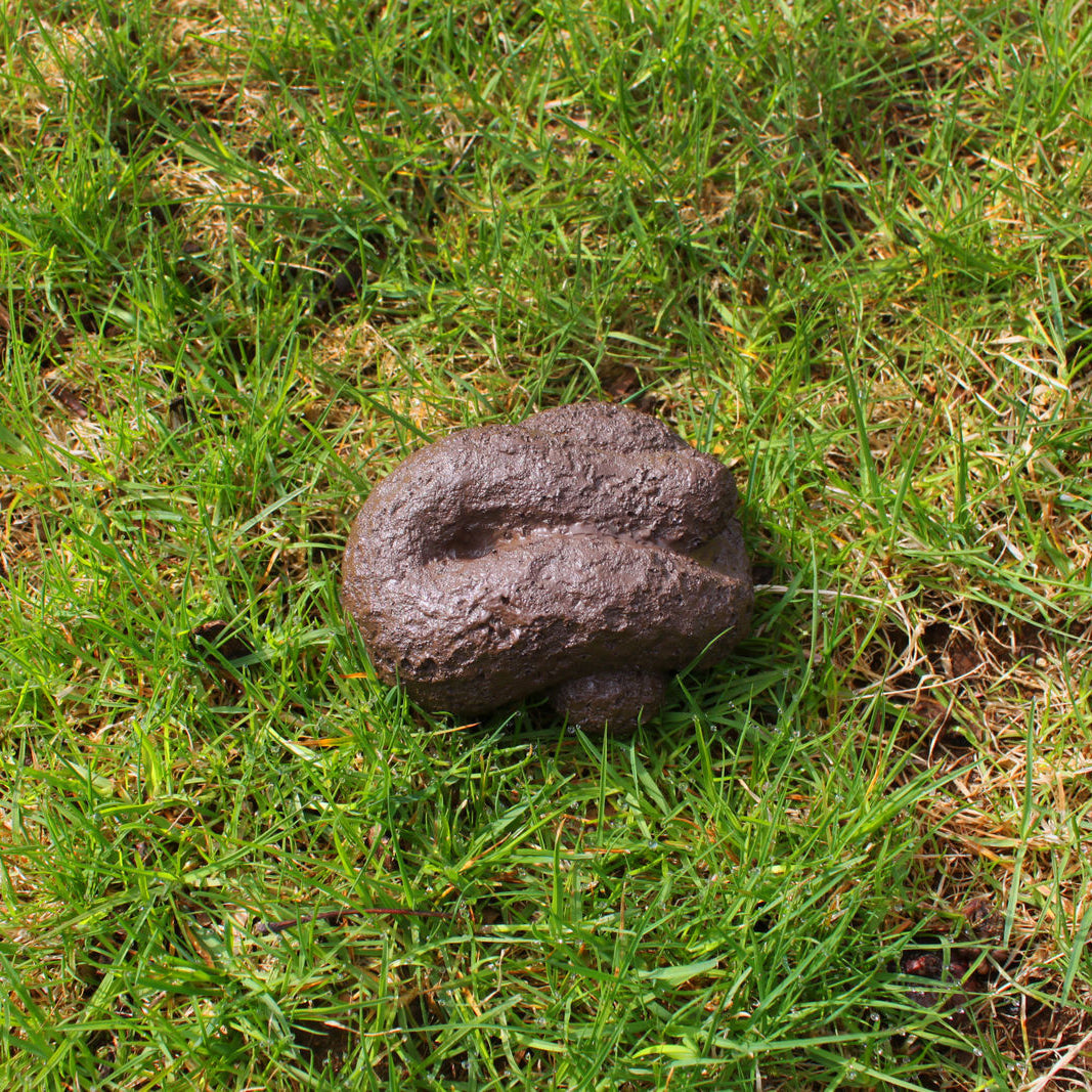 BigMouth - Busters Hide-A-Key Dog Poop