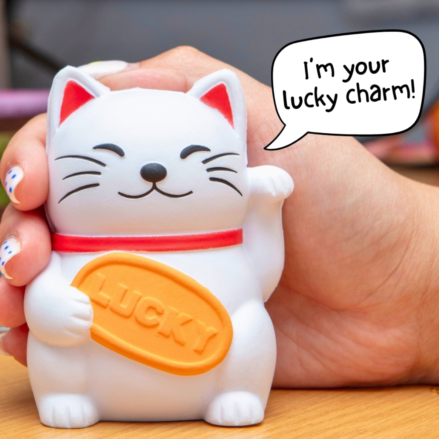 Boxer Gifts - Stress Toy - Lucky Cat