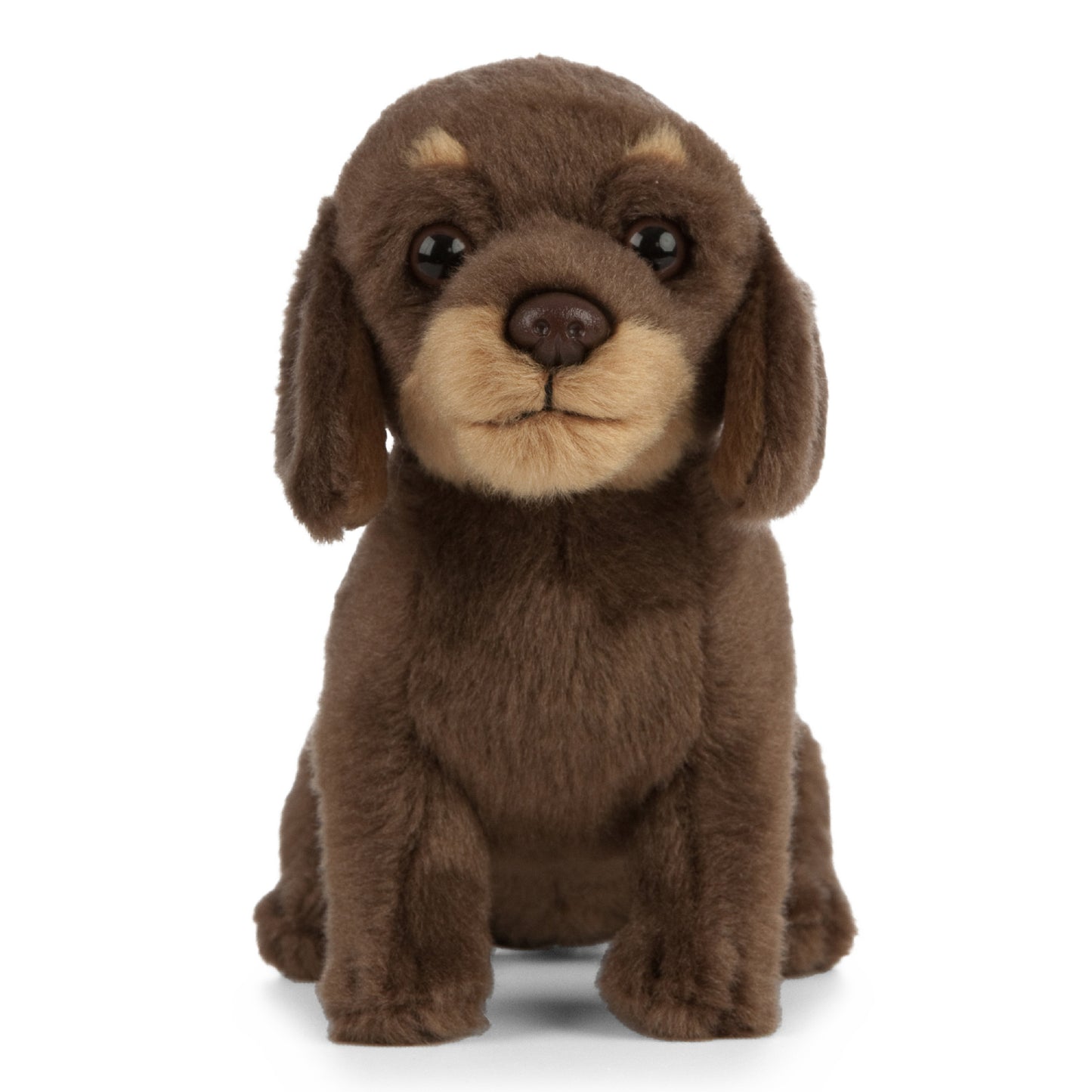 Living Nature - Dachshund Puppy (27cm)