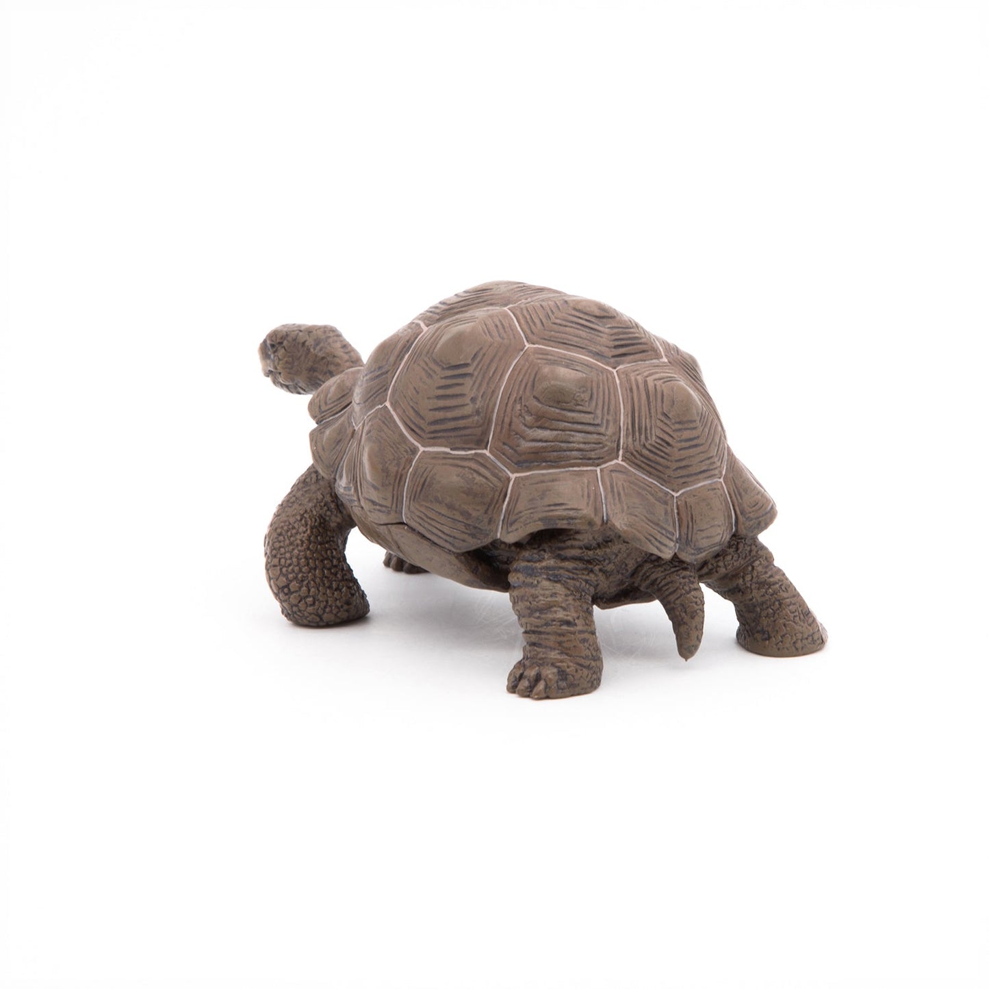 Papo - Galöpagos Tortoise Figurine