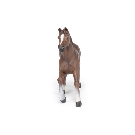 Papo - Anglo-Arab Mare Figurine