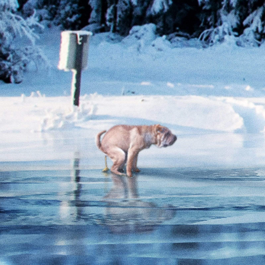 PRANK-O When Nature Calls Winterscape Mug