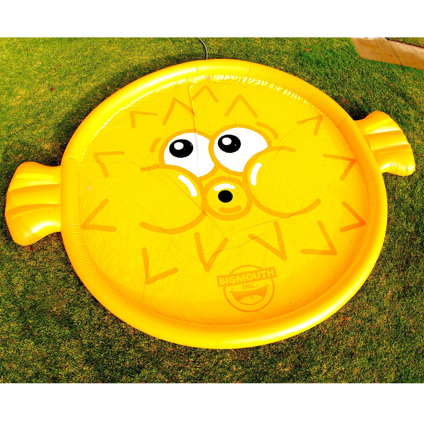Pufferfish Splash Pad