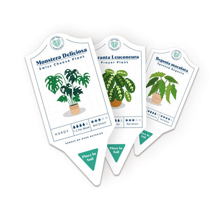Bubblegum Stuff - Houseplant Care Tags