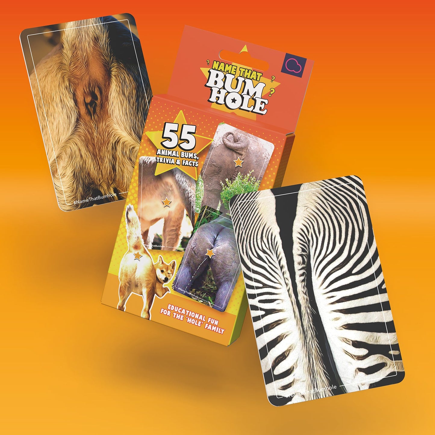 Bubblegum Stuff - Name That Bumhole