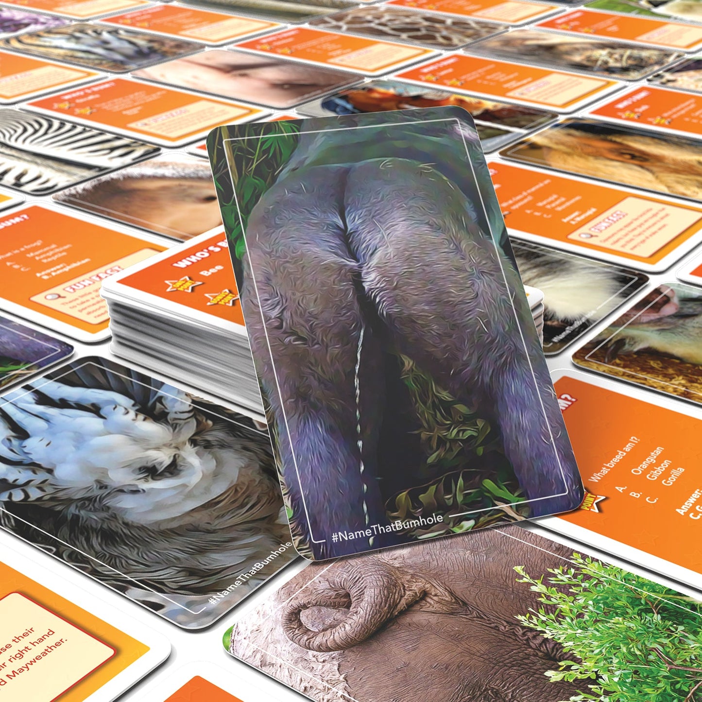 Bubblegum Stuff - Name That Bumhole