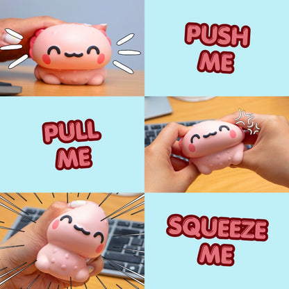 Boxer Gifts - Stress Toy - Relaxolotl