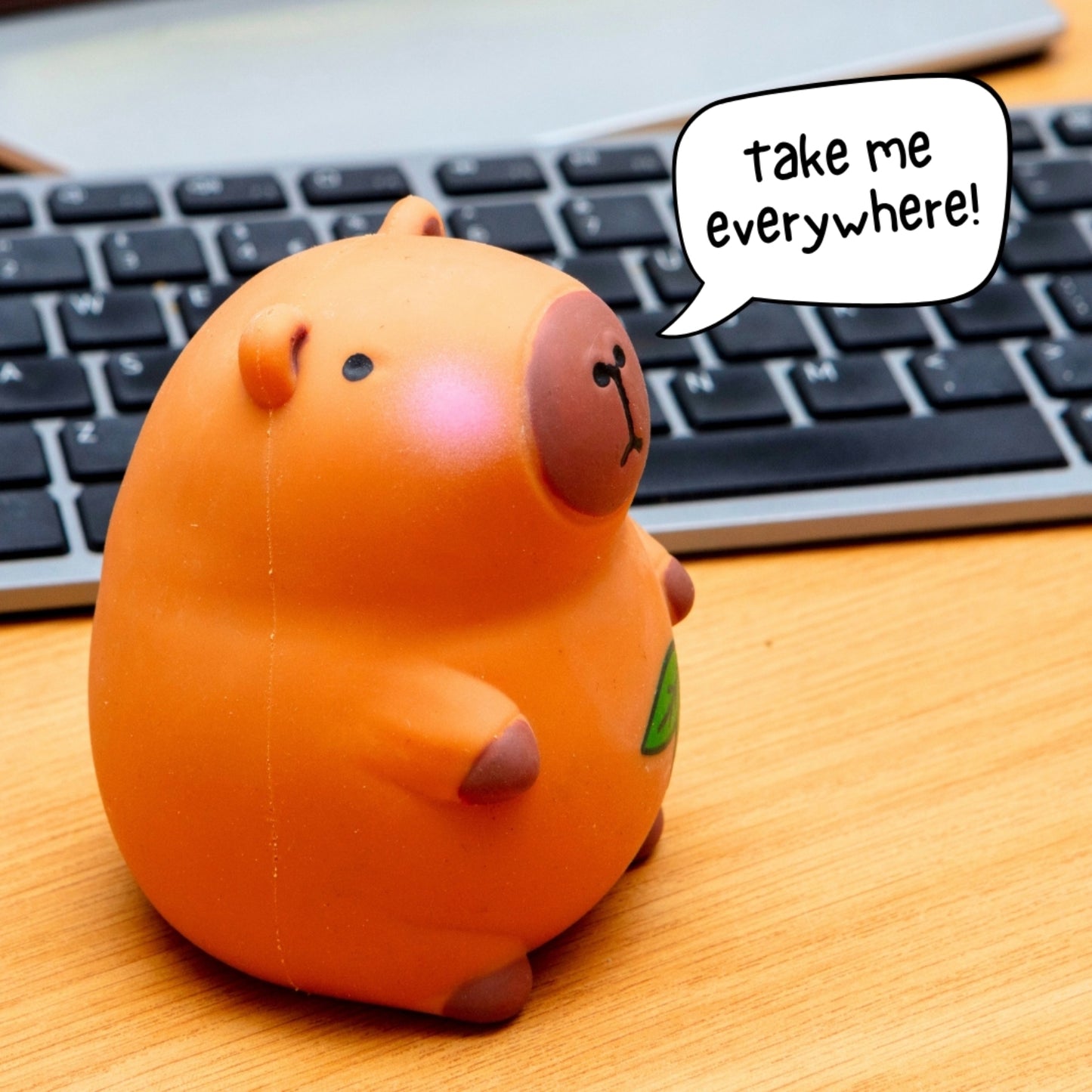 Boxer Gifts - Capybara Stress Toy - Don't Worry Be Cappy