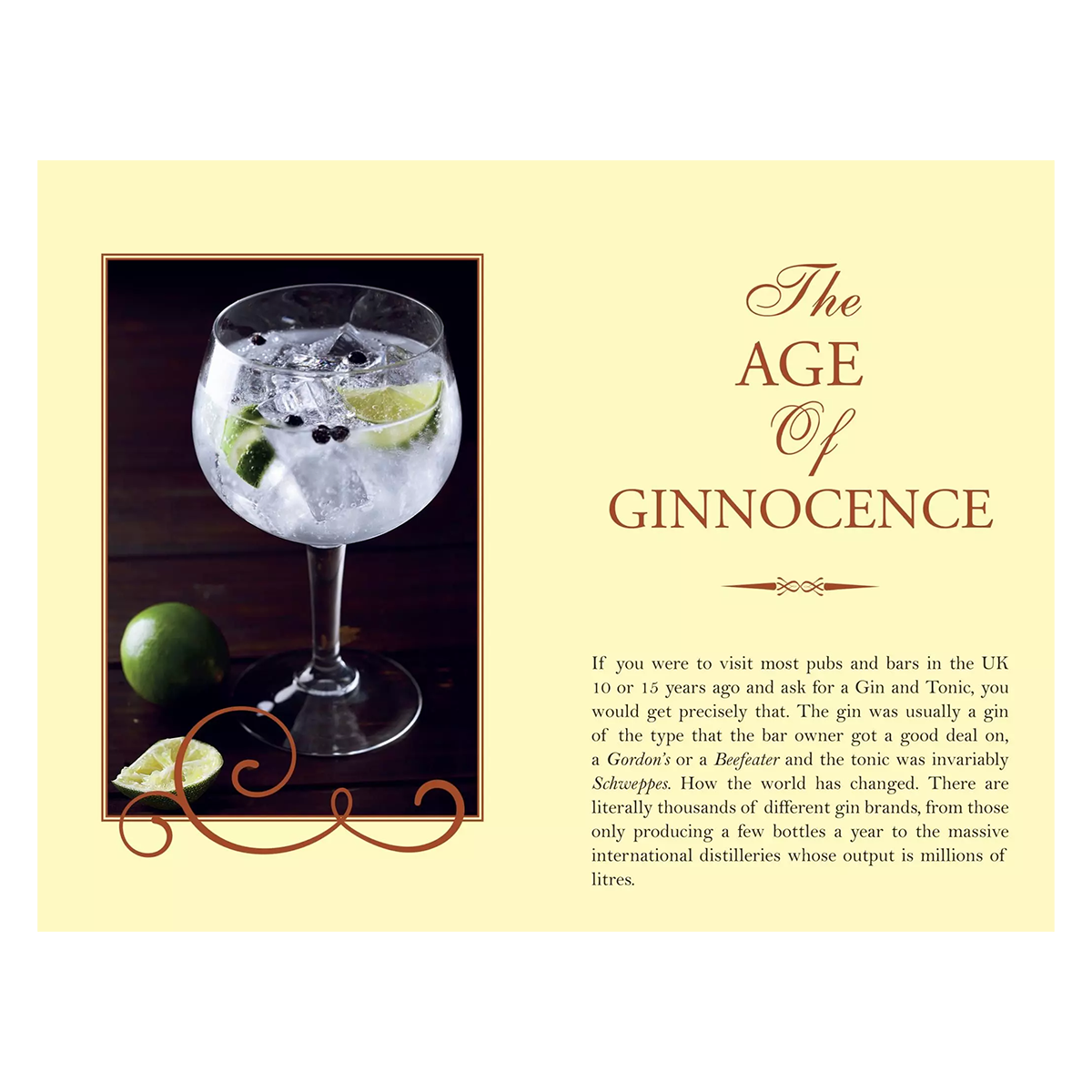 A Gin Snobs Guide Book