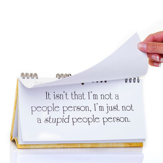 Classic Insults Flip Book