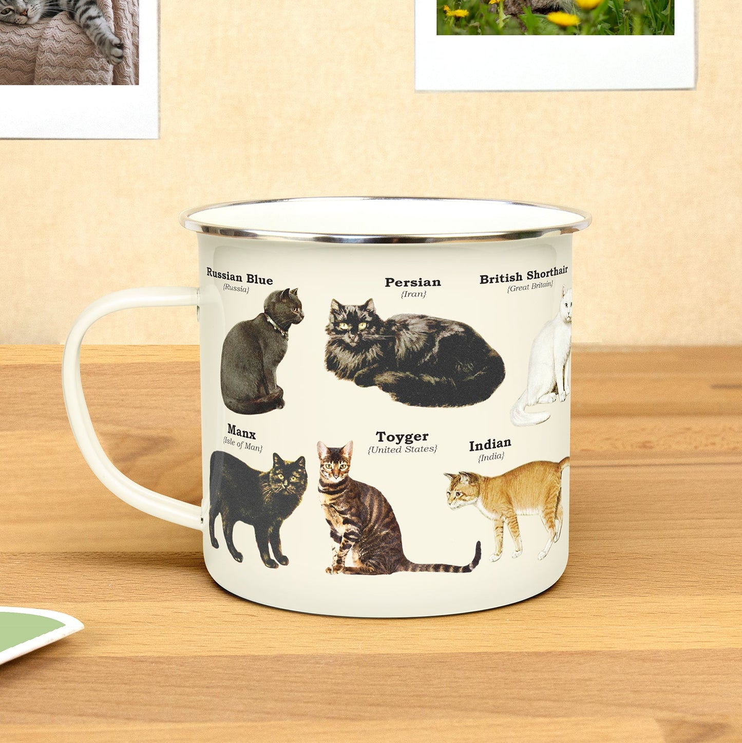Cats - Enamel Mug