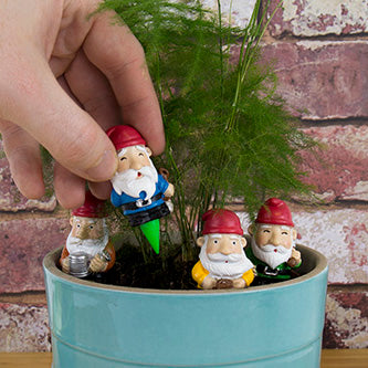 Plant Pot Gnomes