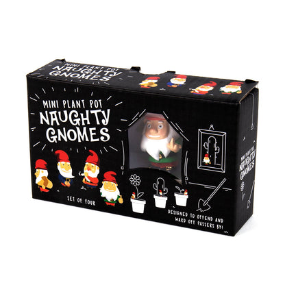 Naughty Gnomes Planters