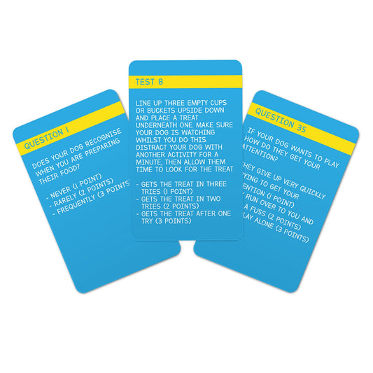 Dog IQ Test