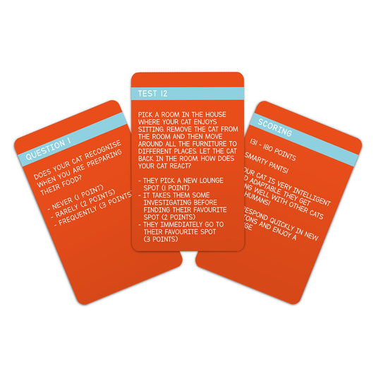 Cat IQ Test