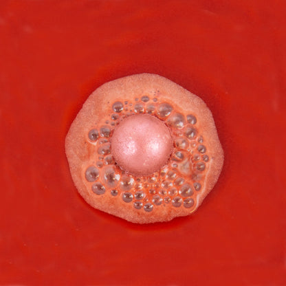 Mulled Wine Bath Bombs