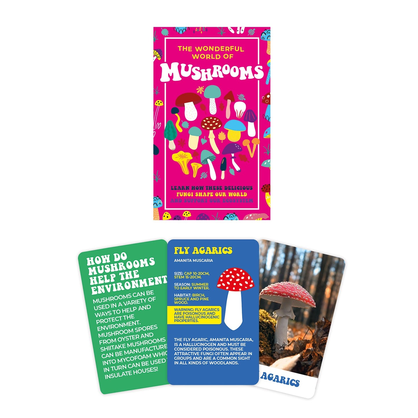 The Wonderful World of Mushrooms