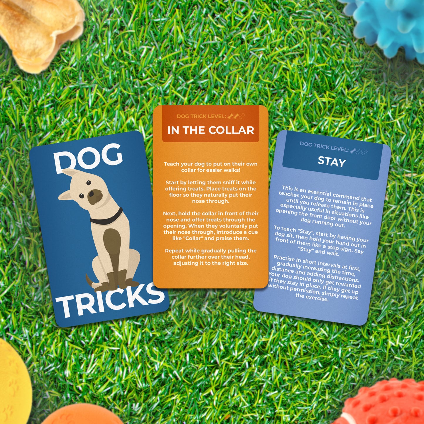 Gift Republic - Dog Tricks