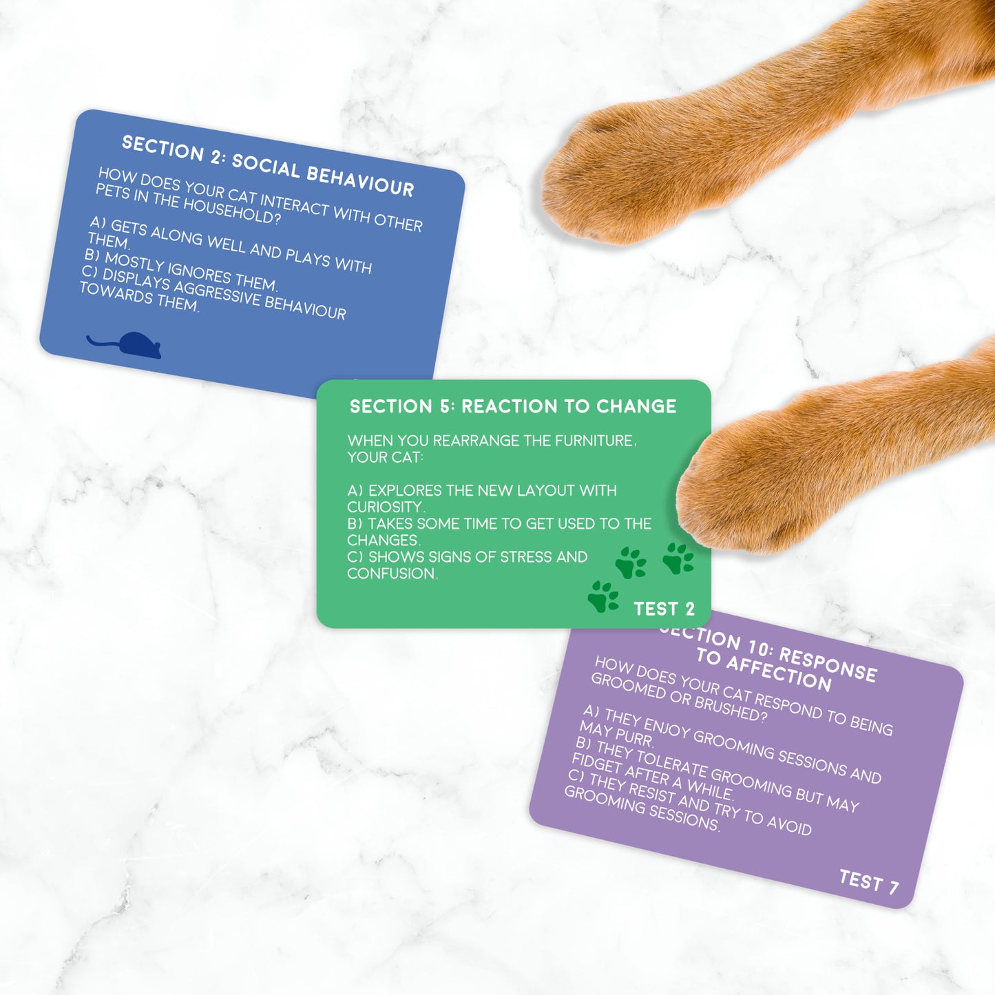 Gift Republic - Cat: Pet Personality Test