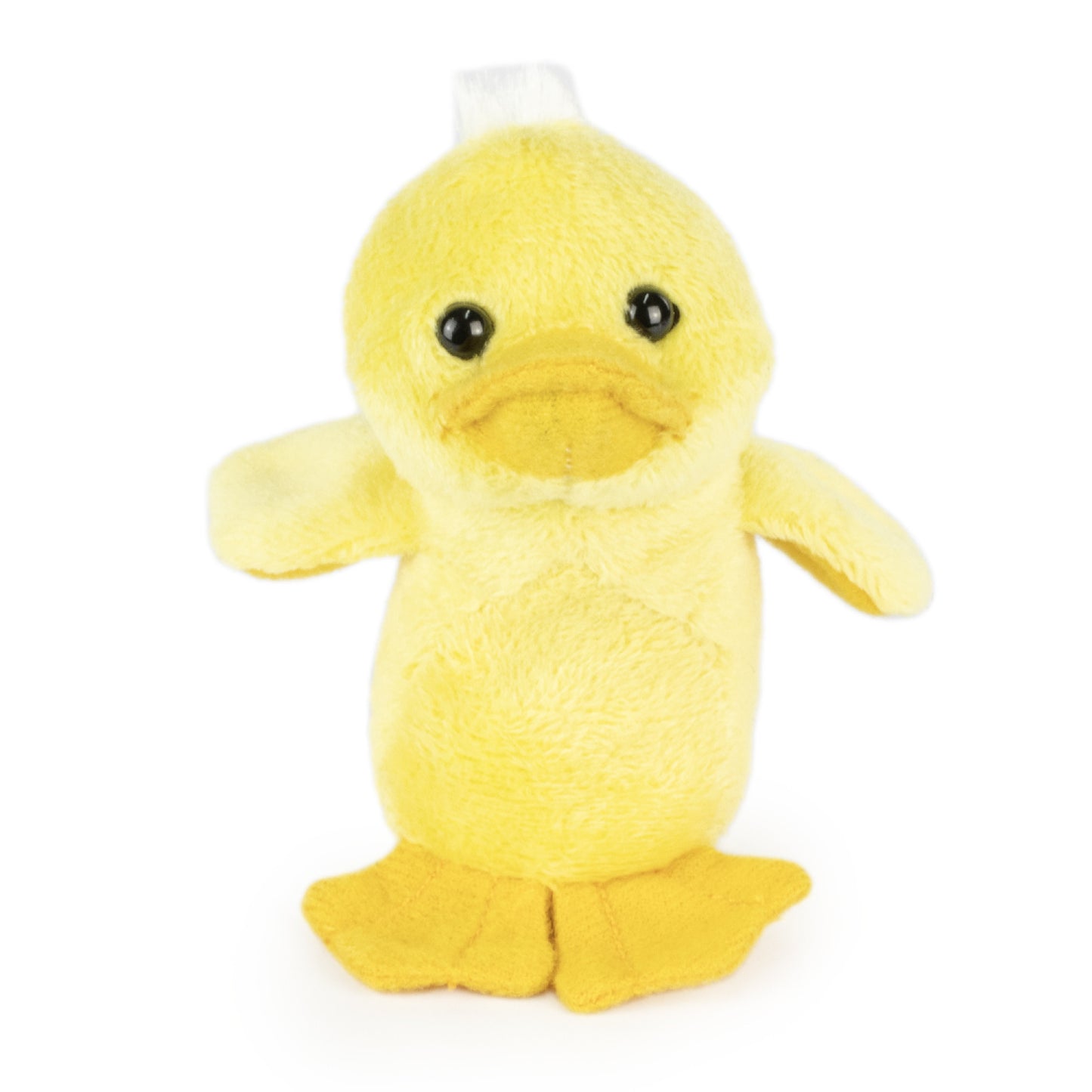Living Nature - Little Buddies Duckling