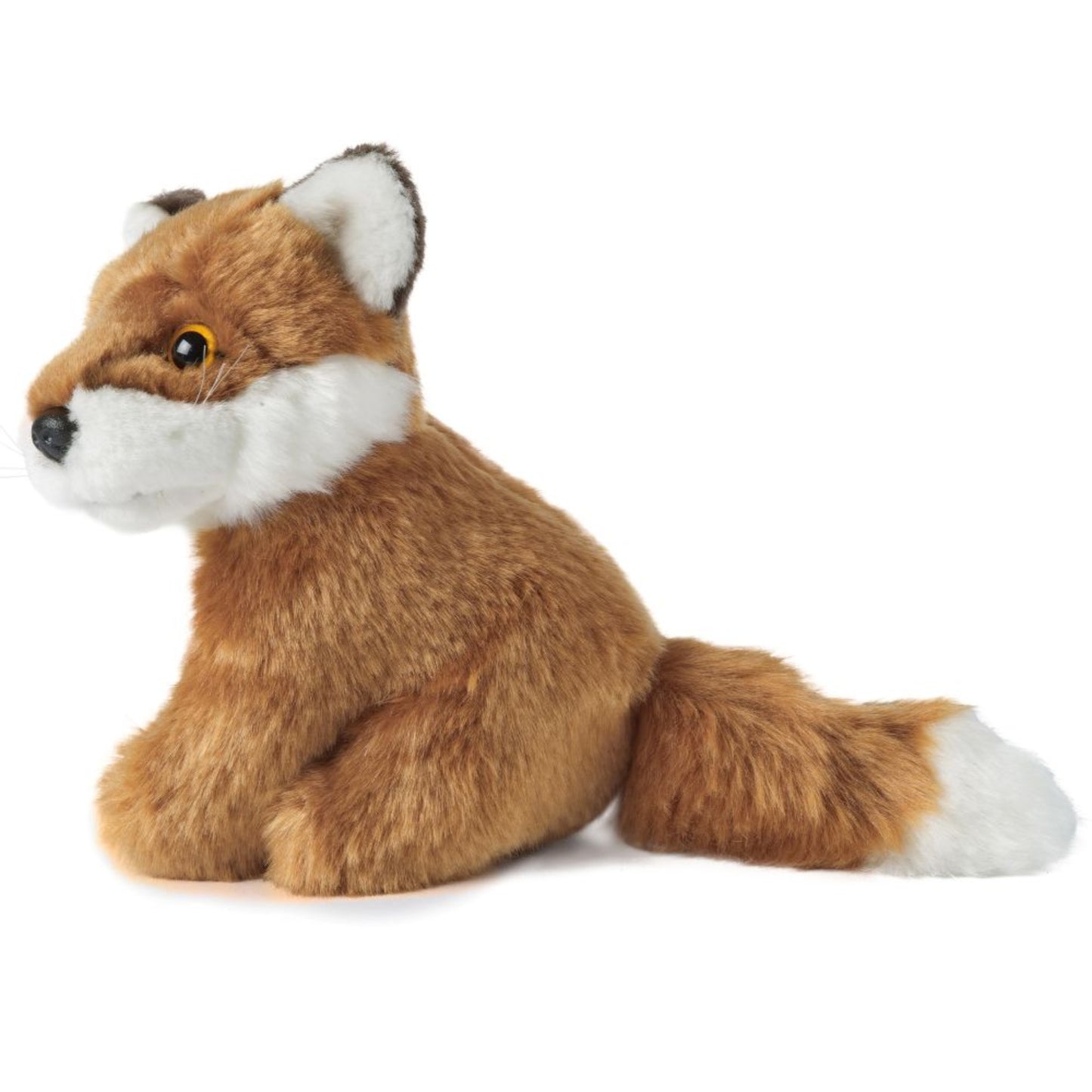 Living Nature - Sitting Fox