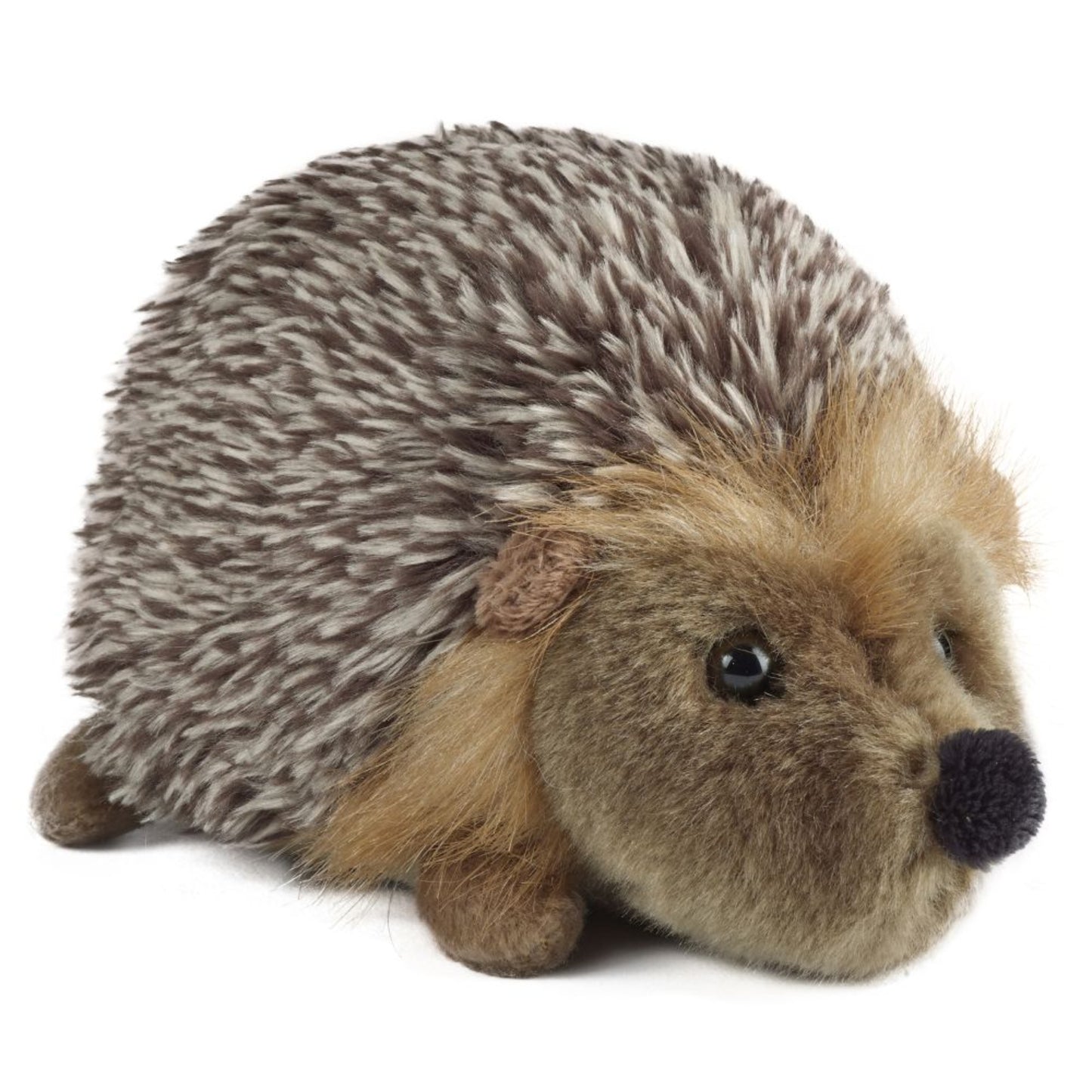 Living Nature - Hedgehog (Medium)