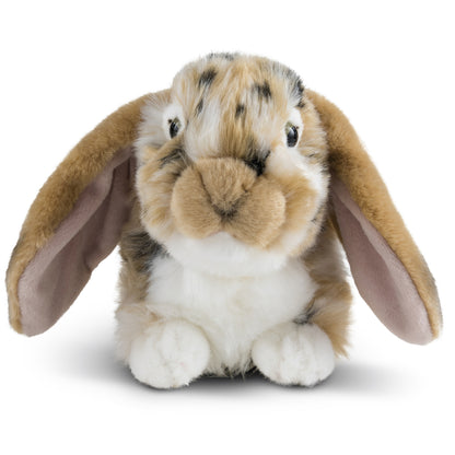 Living Nature - Brown Dutch Lop Ear Rabbit (25cm)