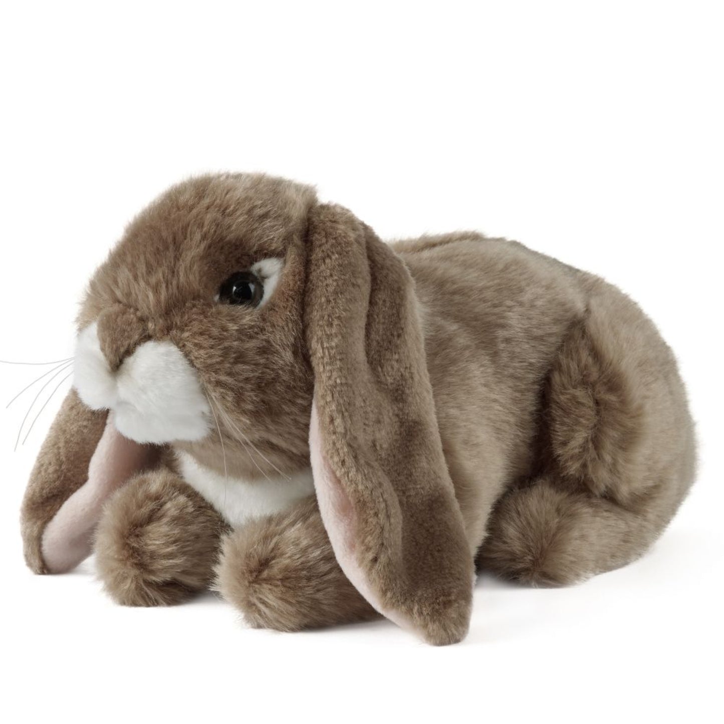 Living Nature - Dark Brown Lop Eared Rabbit