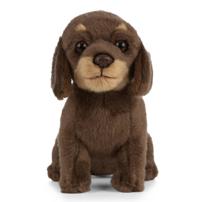 Living Nature - Dachshund Puppy (27cm)