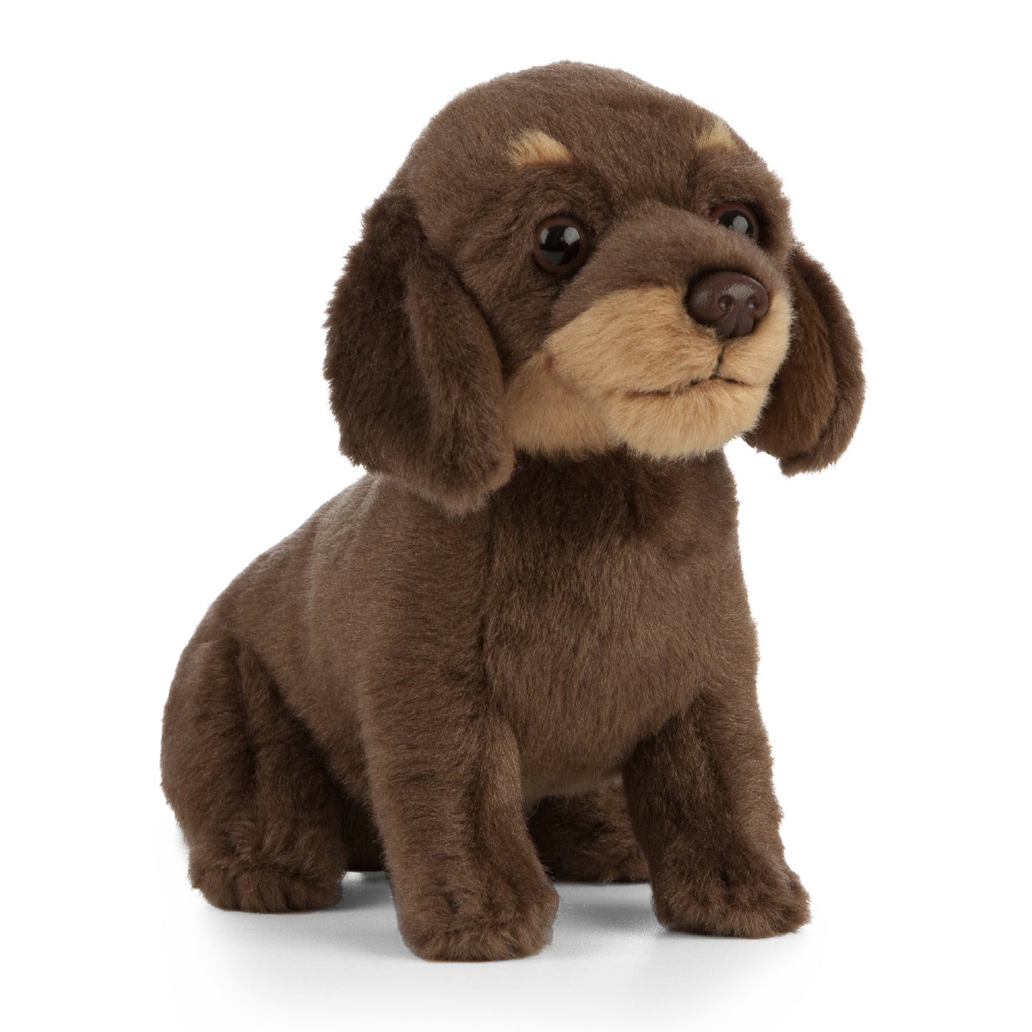 Living Nature - Dachshund Puppy (27cm)