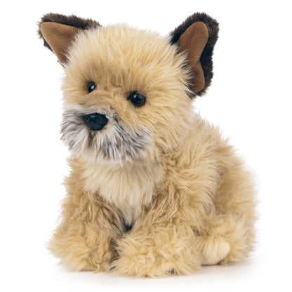 Living Nature - Border Terrier