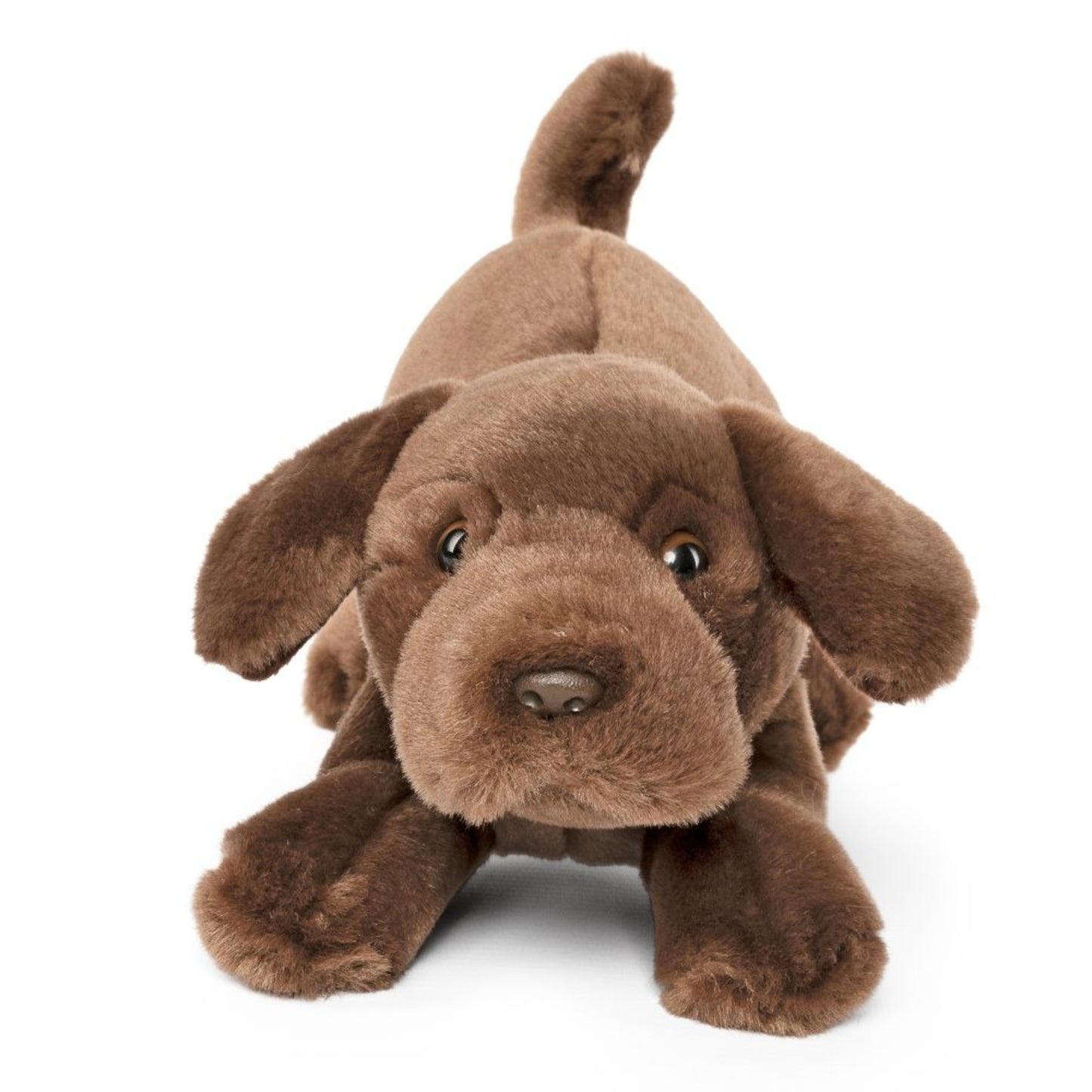 Living Nature - Chocolate Lab Playful Pup (25cm)
