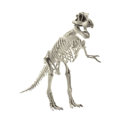 Keycraft - 3D Dinosaur Skeletons