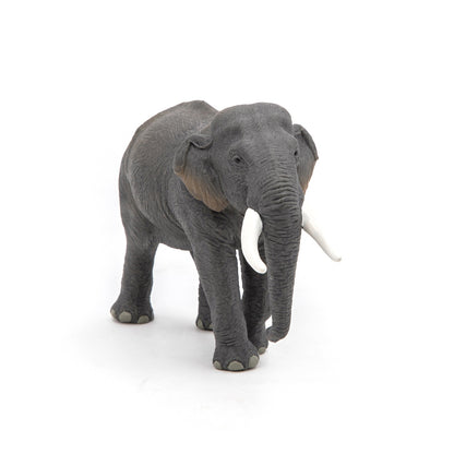 Papo - Asian Elephant Figurine