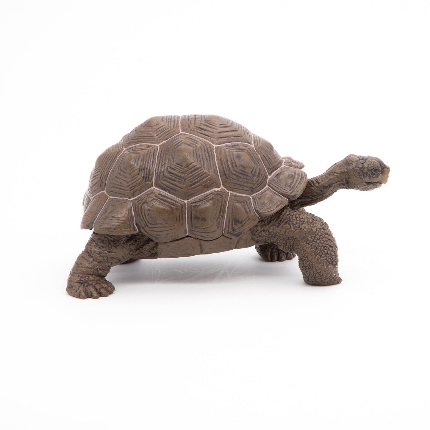 Papo - Galöpagos Tortoise  Figurine