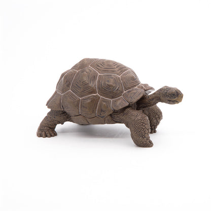 Papo - Galöpagos Tortoise  Figurine