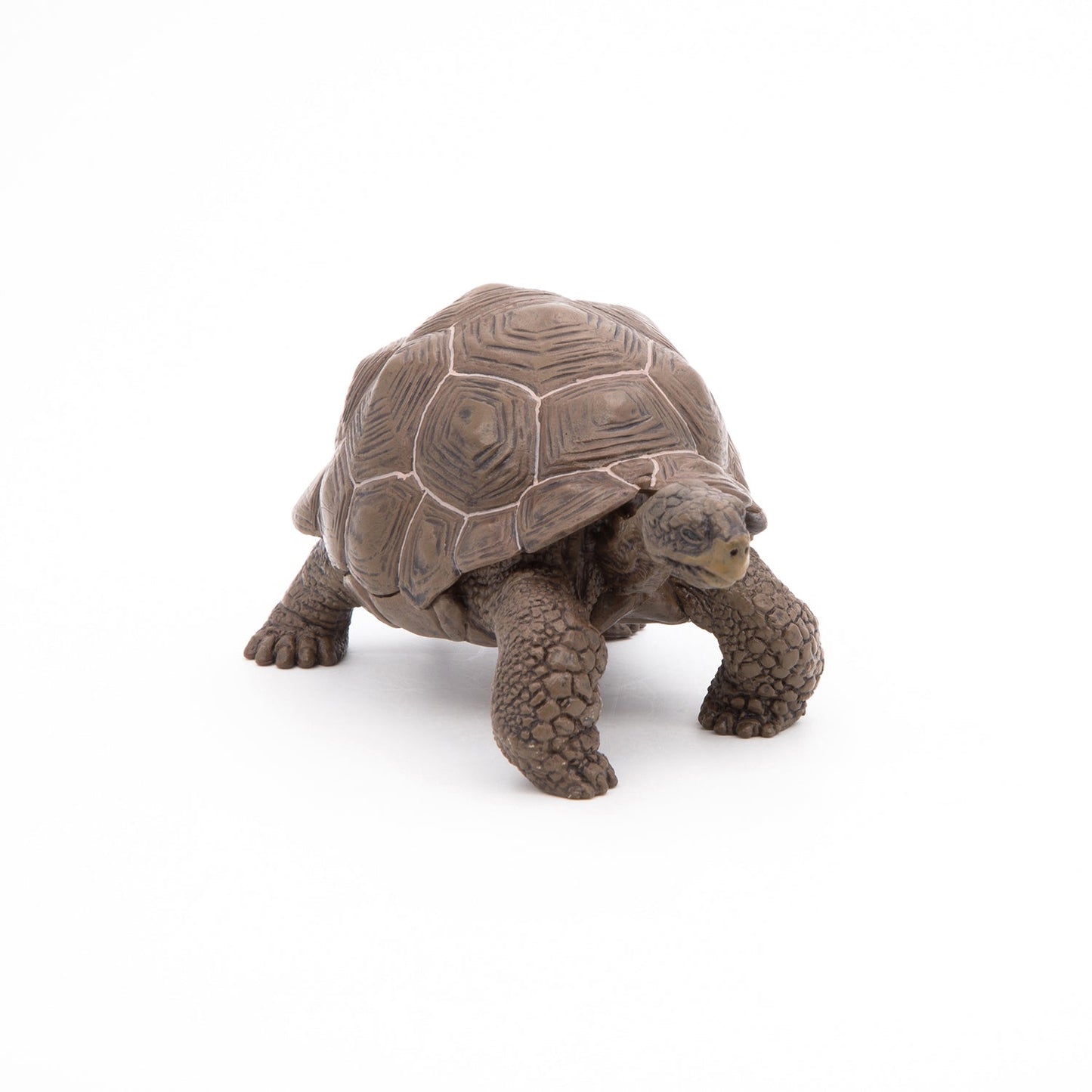 Papo - Galöpagos Tortoise  Figurine