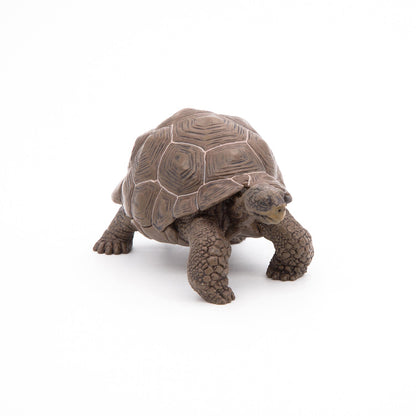 Papo - Galöpagos Tortoise  Figurine