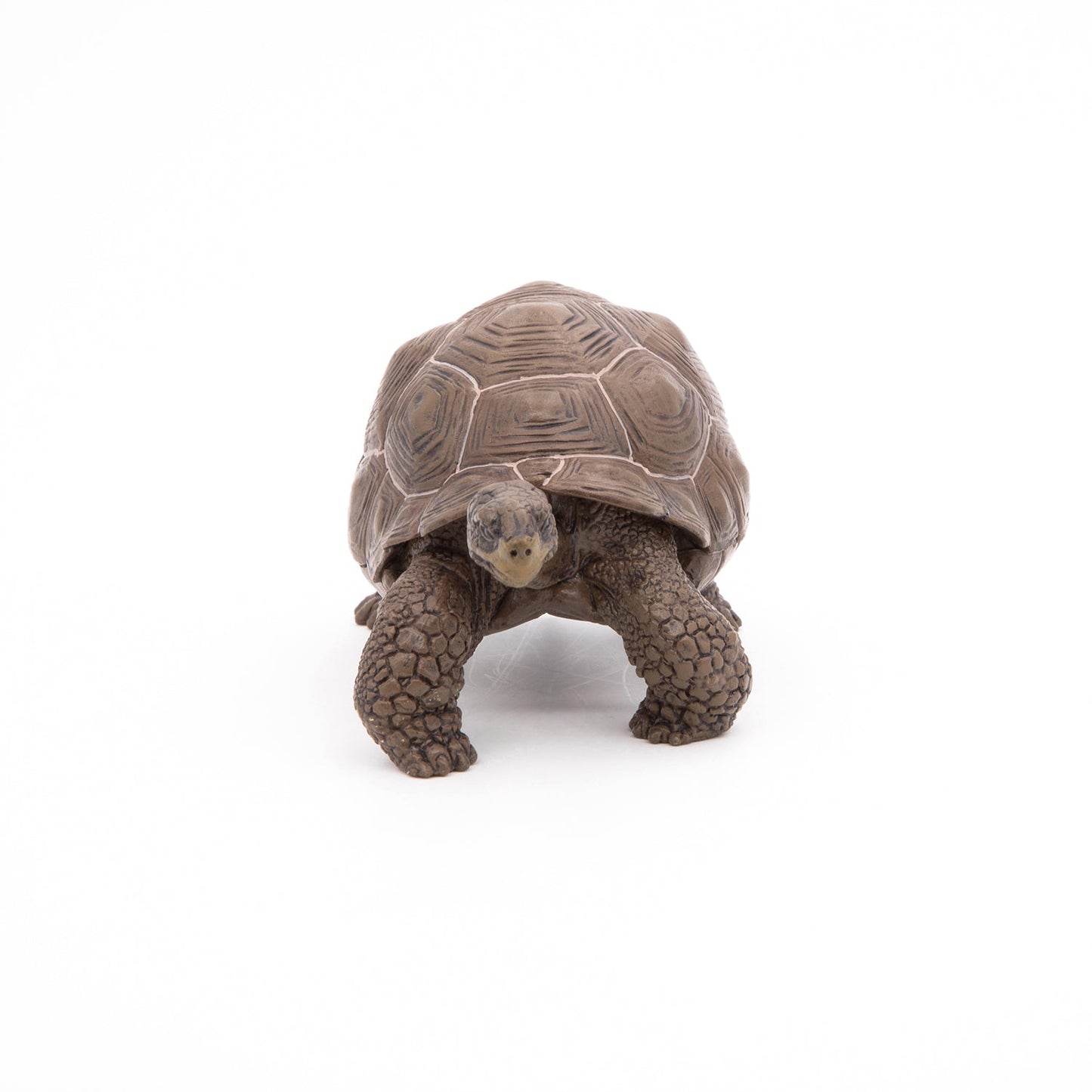 Papo - Galöpagos Tortoise  Figurine