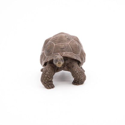 Papo - Galöpagos Tortoise  Figurine