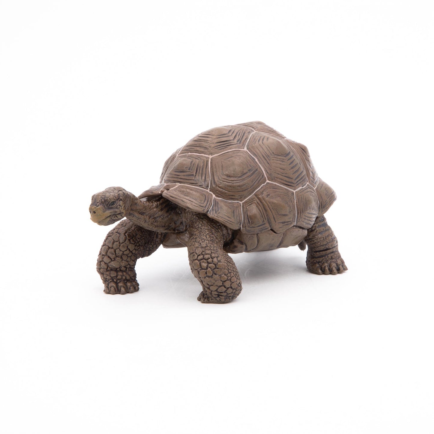 Papo - Galöpagos Tortoise  Figurine