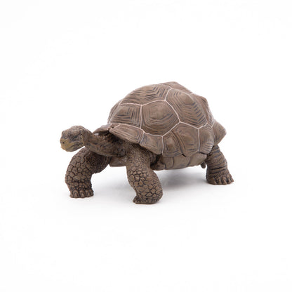 Papo - Galöpagos Tortoise  Figurine