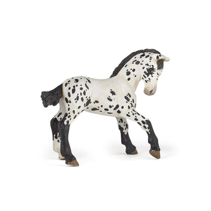 Papo - Black Appaloosa Foal Figurine