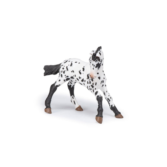 Papo - Black Appaloosa Foal Figurine