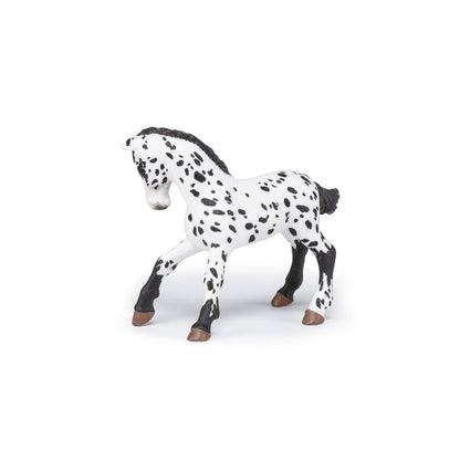 Papo - Black Appaloosa Foal Figurine