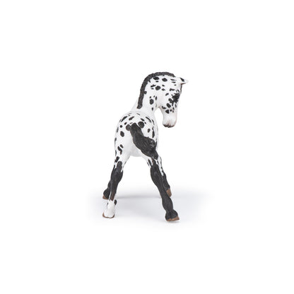 Papo - Black Appaloosa Foal Figurine