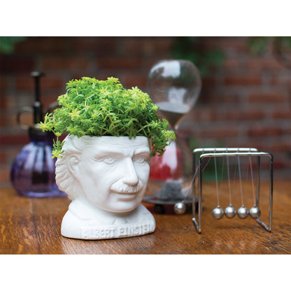 Albert Einstein Planter
