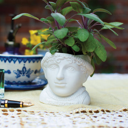 Jane Austen Planter